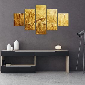 Obraz - Kłosy zboża (125x70 cm)
