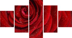 Obraz - szczegół róży (125x70 cm)