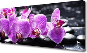 Fotoobraz na płótnie Subtelny Płatek Natury