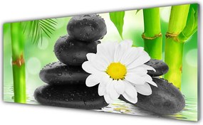 Panel Szklany Nieoczekiwany Duet: Bambus i Stokrotka