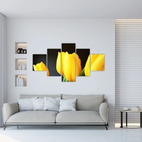 Obraz tulipanów (125x70 cm)