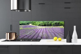 Szkło nad Blatem Kolorowa Łąka na Płótnie