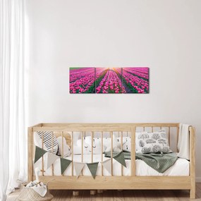 Obraz pole tulipanów ze słońcem (z zegarem) (90x30 cm)