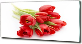Foto obraz szklany Czerwone tulipany