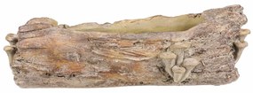 Opakowanie betonowe - skrzynka, drewno z grzybami,49 x 21 x 15 cm
