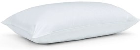 Poduszka 74x48 cm Cotton Spring – Catherine Lansfield