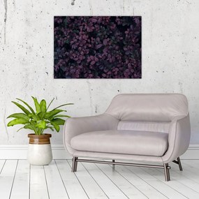 Obraz ciemnoczerwonych liści (70x50 cm)