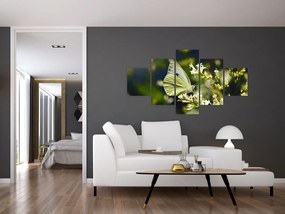 Obraz motyla (125x70 cm)