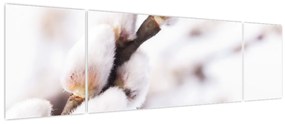 Obraz - Gałąź wierzby płaczącej (170x50 cm)