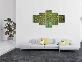 Obraz - Paw (125x70 cm)