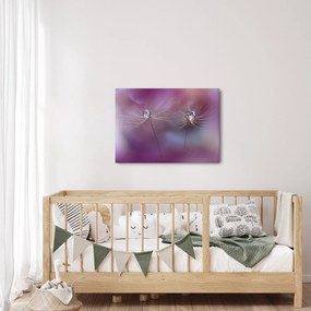 Obraz kropelek na puchu (70x50 cm)