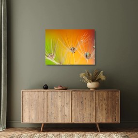 Obraz na szkle - krople na roślinie (70x50 cm)
