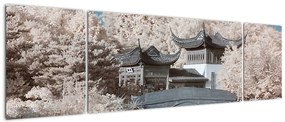 Obraz - Kwitnące drzewa w Azji (170x50 cm)