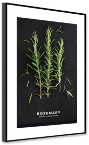 Obraz 50x70 cm Rosemary – Styler