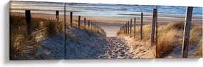 Obraz - Droga na plażę Morza Północnego, Holandia (170x50 cm)