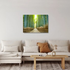 Obraz na szkle - Las bambusowy (70x50 cm)