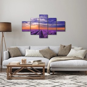 Obraz lawendowego pola (125x70 cm)