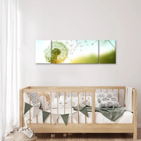 Obraz - Dmuchawiec na wietrze (170x50 cm)