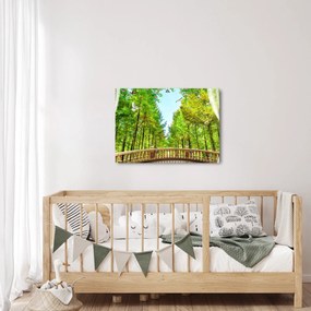 Obraz - Widok na las (70x50 cm)