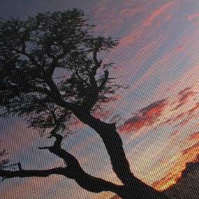 Obraz - Drzewo i czerwonawe odcienie (170x50 cm)