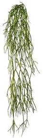 Sztuczna roślina wisząca Rhipsalis, 61 cm, zielona