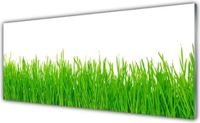 Panel Szklany Naturalna Gęstwina Trawy