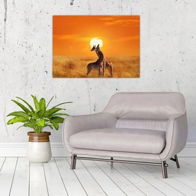 Obraz na szkle - Żyrafy w Parku Narodowym Serengeti (70x50 cm)