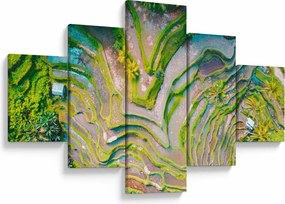 Obraz pól ryżowych z lotu ptaka (125x70 cm)