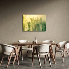 Obraz - Szczegół wiosennej mglistej przyrody (70x50 cm)