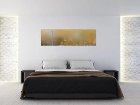 Obraz - Obraz olejny stokrotek (170x50 cm)