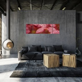 Obraz - Obraz biletu w trybie makro (170x50 cm)