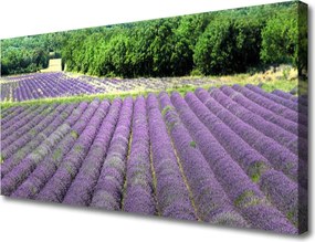 Obraz na płótnie Kolorowa Łąka na Płótnie