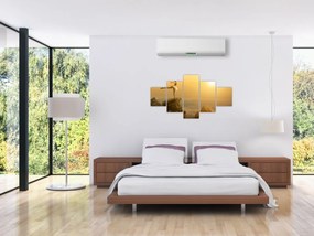 Obraz - Baletnica na skale (125x70 cm)