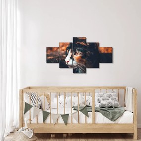 Obraz - Spojrzenie kota (125x70 cm)