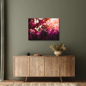 Obraz na szkle - kwiaty malwy (70x50 cm)