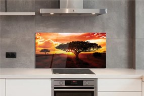 Panel szklany do Kuchni Drzewa pod Wieczornym Niebem