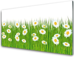 Panel Szklany do Kuchni Stokrotki W Zielonej Trawie