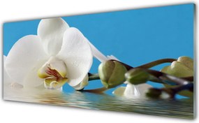 Szkło do Kuchni na Ścianę Botaniczny Portret Kwiatu