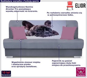 Szara rozkładana wersalka z motywem psa B6-H32