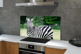 Panel szklany do Kuchni Zebra na tle Afrykańskiej Równiny