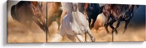 Obraz - Konie na pustyni (170x50 cm)
