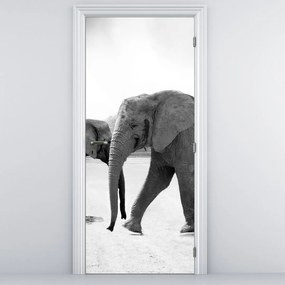Fototapeta na drzwi - Słonie (95x205cm)