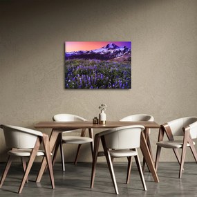 Obraz - Wulkan i kwiaty (70x50 cm)