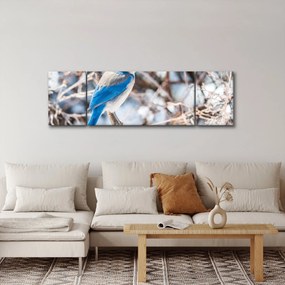 Obraz - Zimowy ptaszek (170x50 cm)