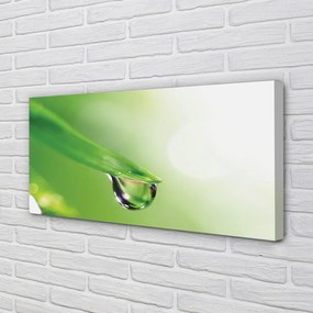 Obraz drukowany na płótnie Słoneczna Kropla na Liściu