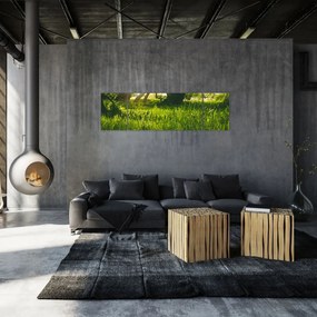 Obraz natury - łąka (170x50 cm)