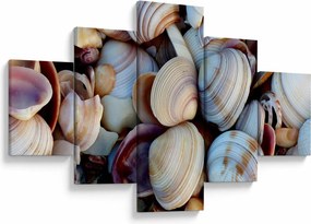 Obraz muszelek (125x70 cm)