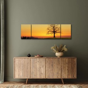 Obraz drzewa na polu (170x50 cm)