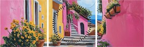 Obraz - Różowa uliczka (z zegarem) (90x30 cm)