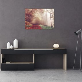Obraz na szkle - Jesienny spacer po lesie (70x50 cm)